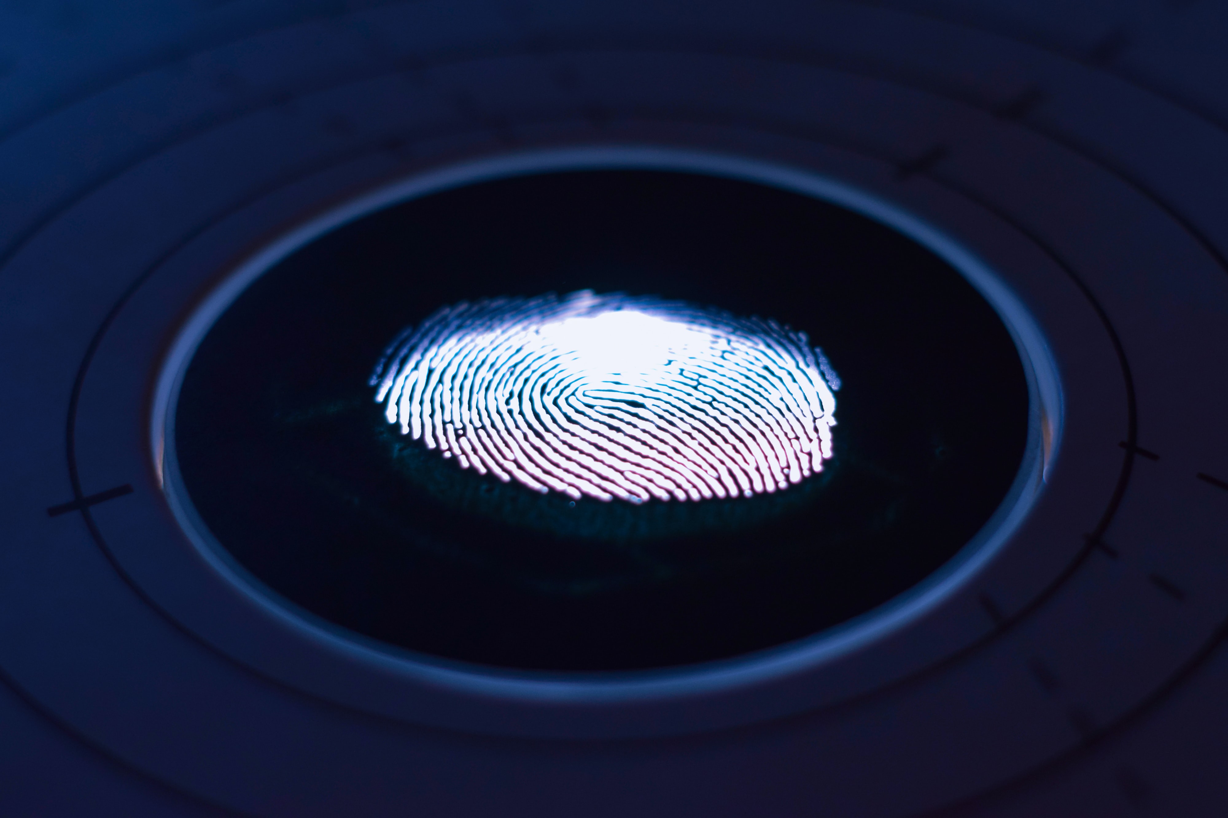 Finger Print Sensor