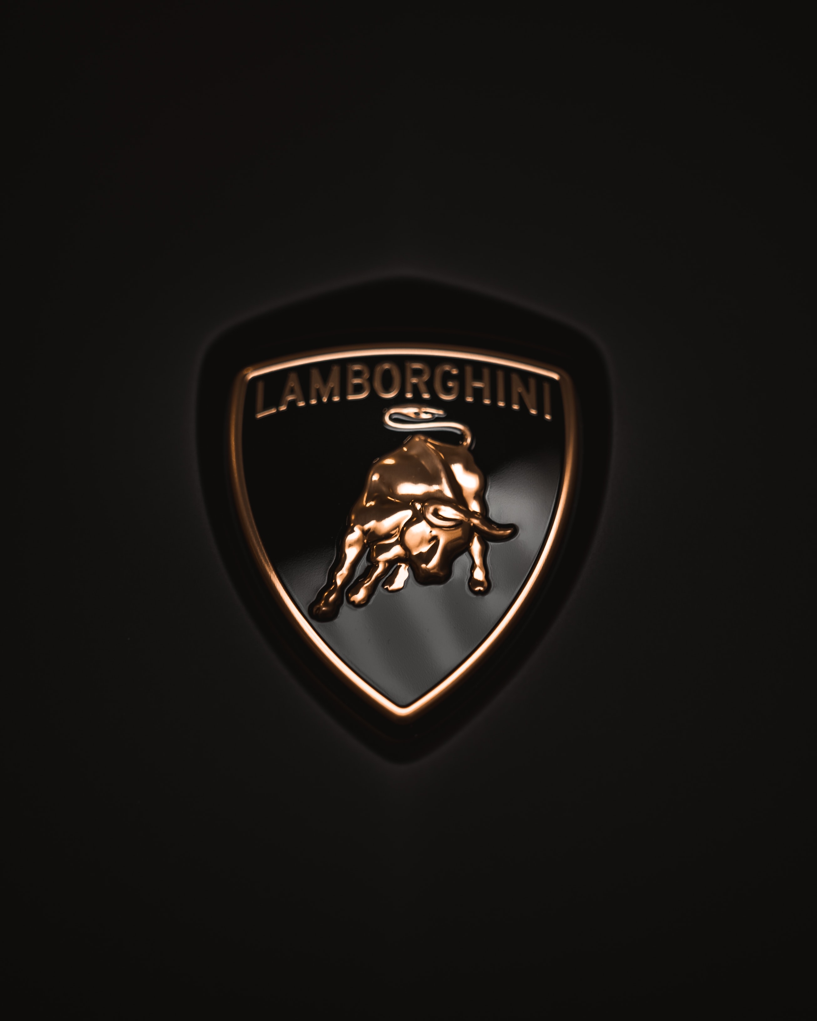 Lamborghini Badge